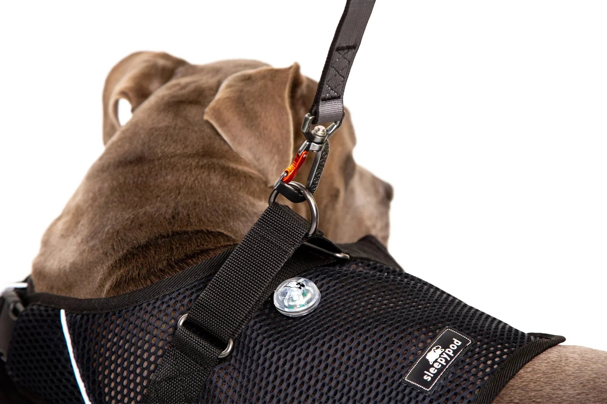 Sleepypod Martingale Calming Harness for Dogs