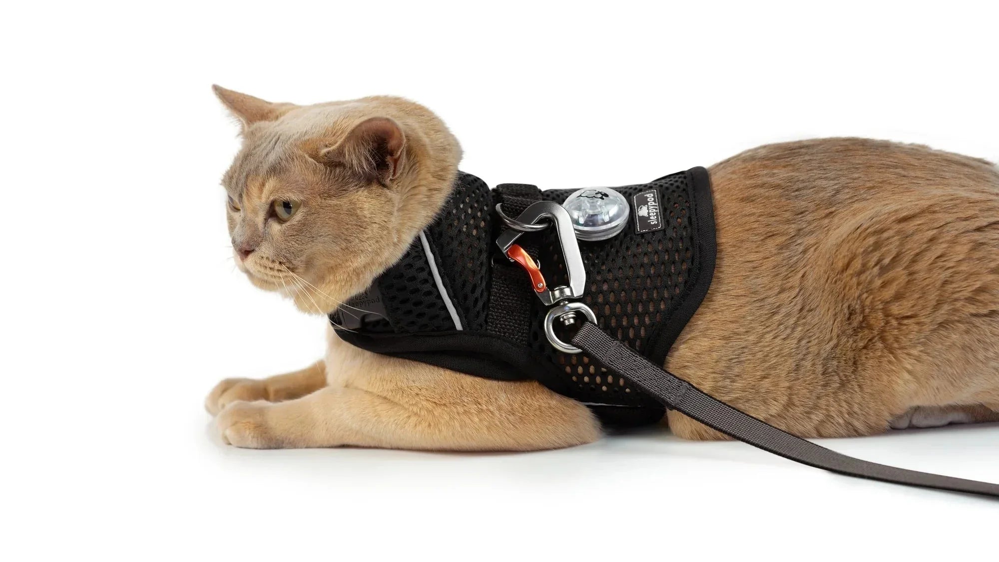 Sleepypod Martingale Calming Harness for Cats