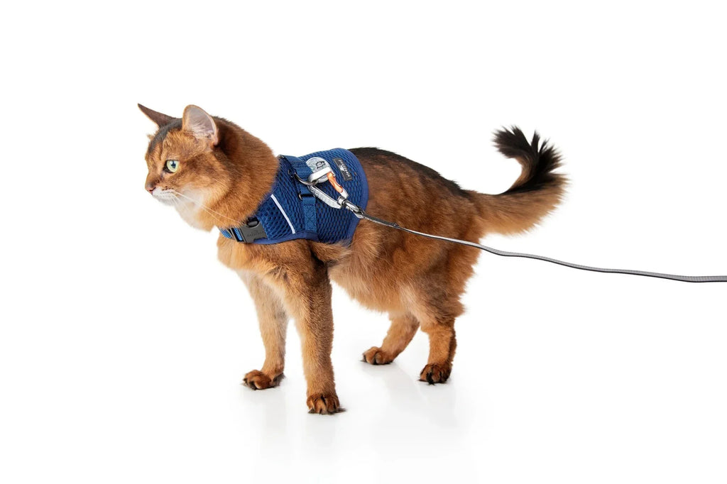 Sleepypod Martingale Calming Harness for Cats