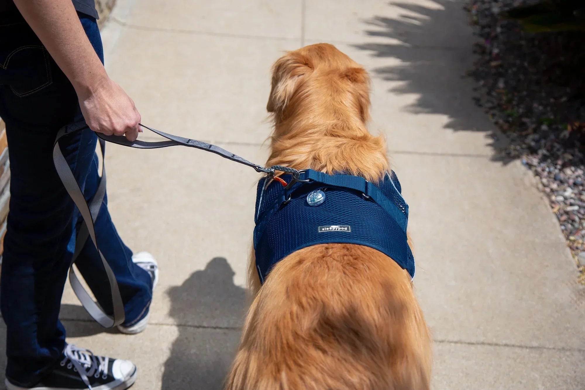 Sleepypod Martingale Calming Harness for Dogs