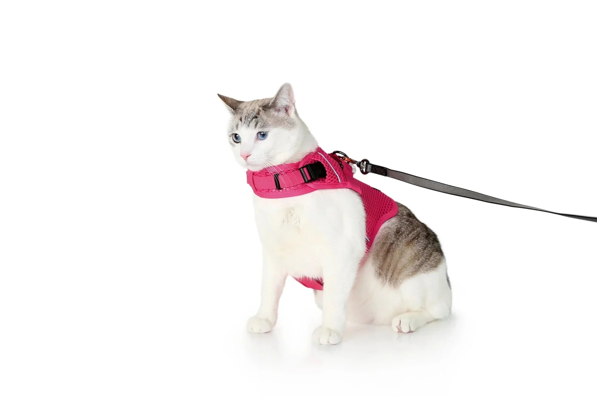 Sleepypod Martingale Calming Harness for Cats
