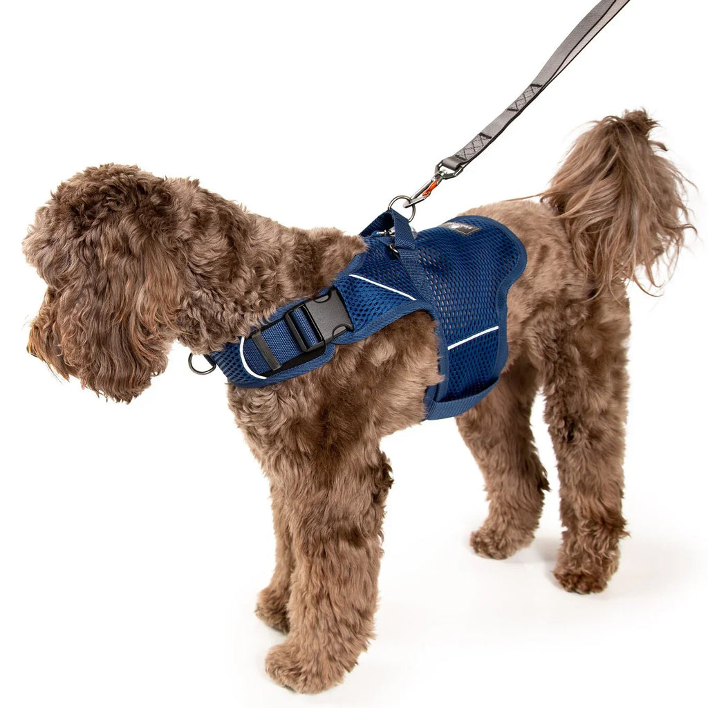Sleepypod Martingale Calming Harness for Dogs