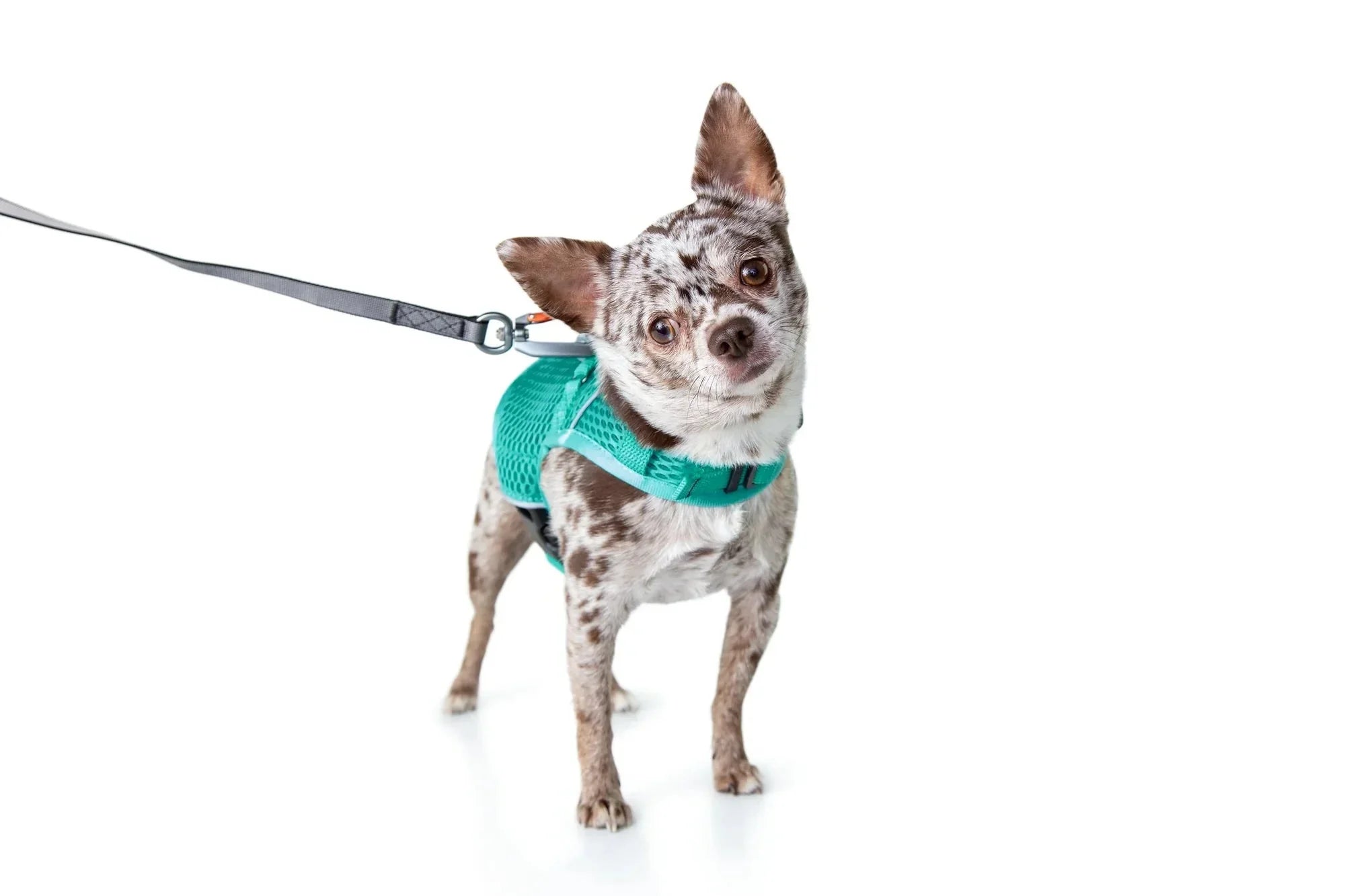 Sleepypod Martingale Calming Harness for Dogs