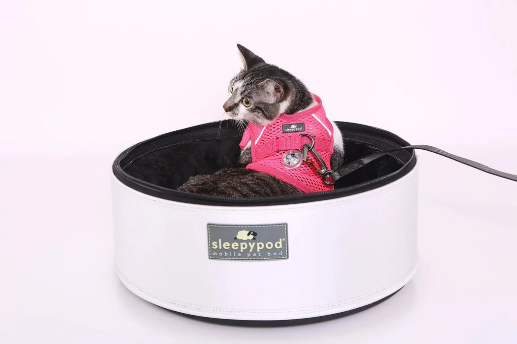 Sleepypod Martingale Calming Harness for Cats
