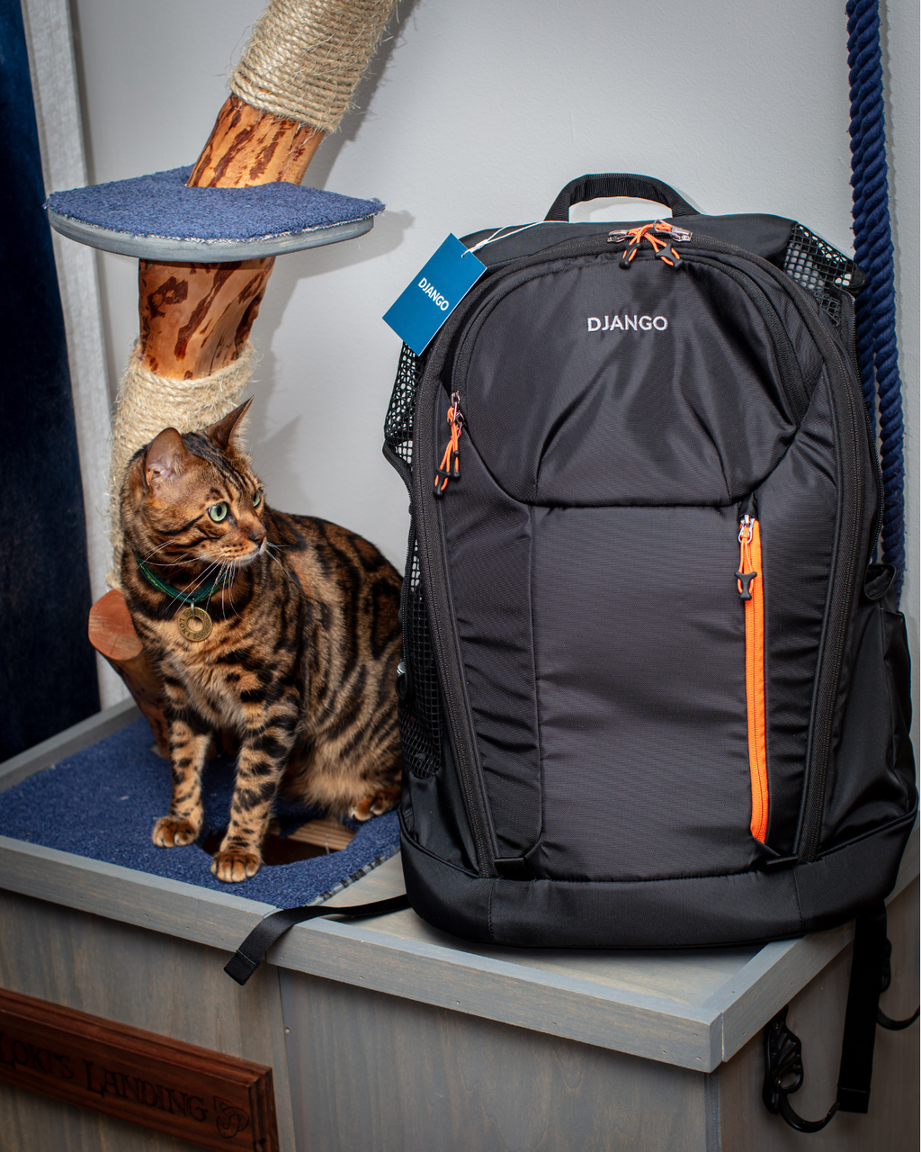 DJANGO - DjangoPack™ Dog Carrier Backpack