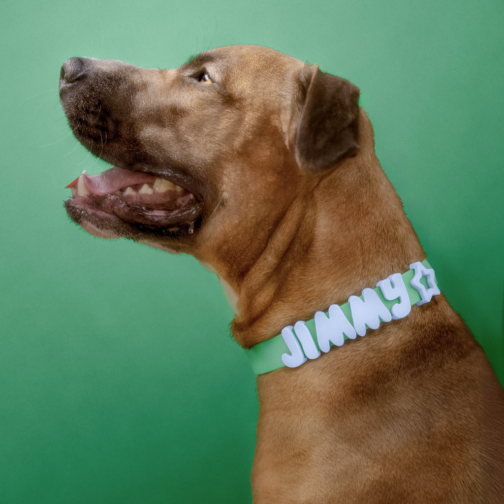 Waterproof Dog Collar