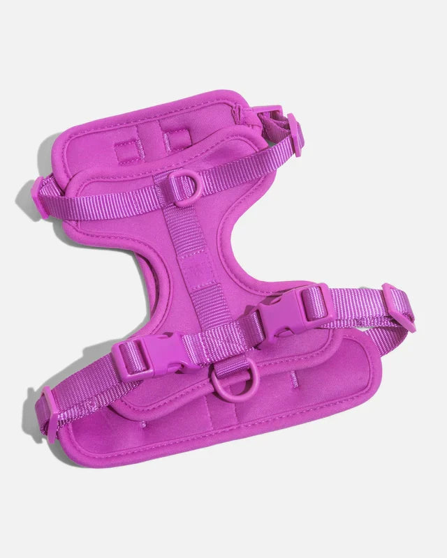 Wild One Adjustable Comfort Dog Harness