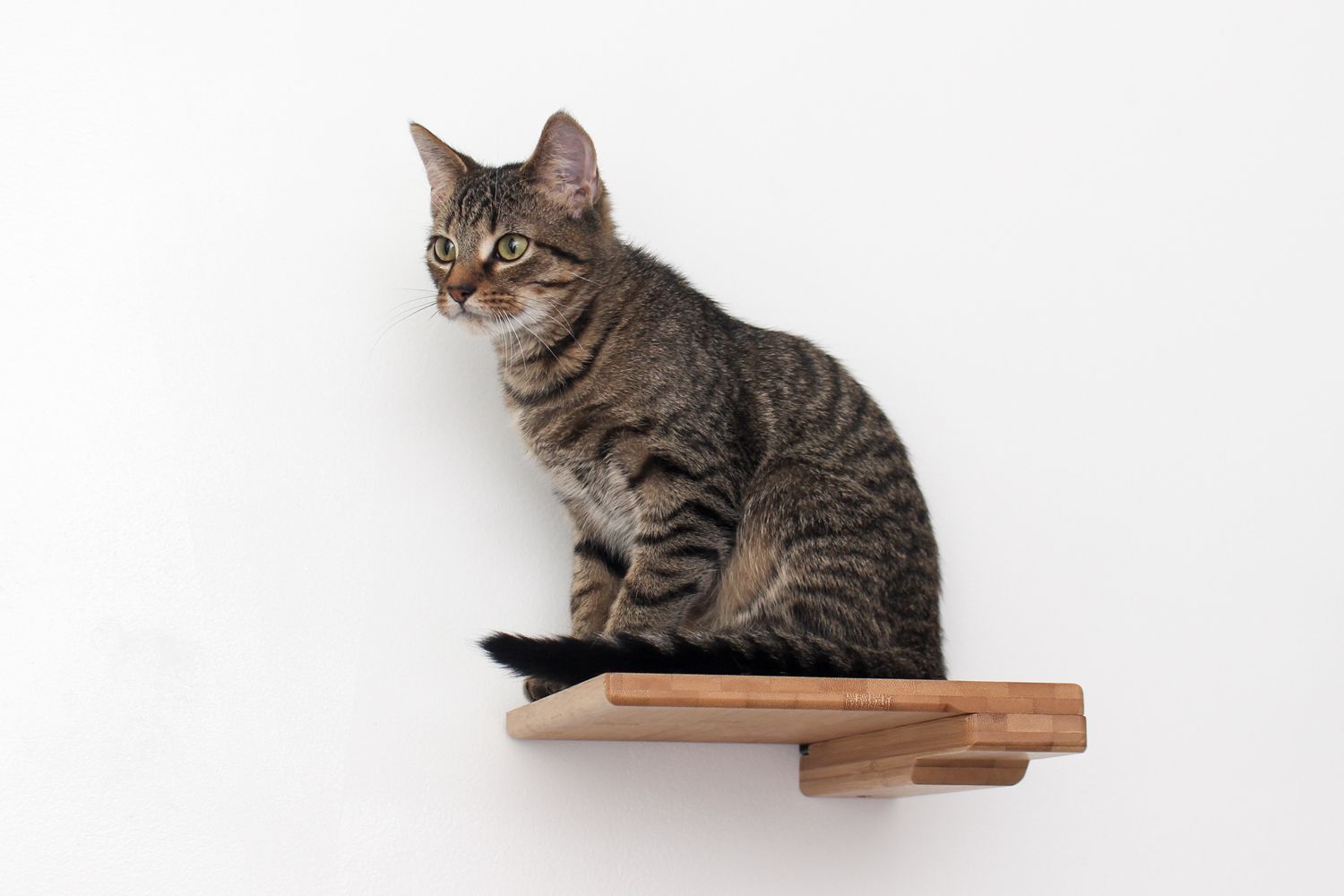 Catastrophic Creations Cat Climbing Shelf