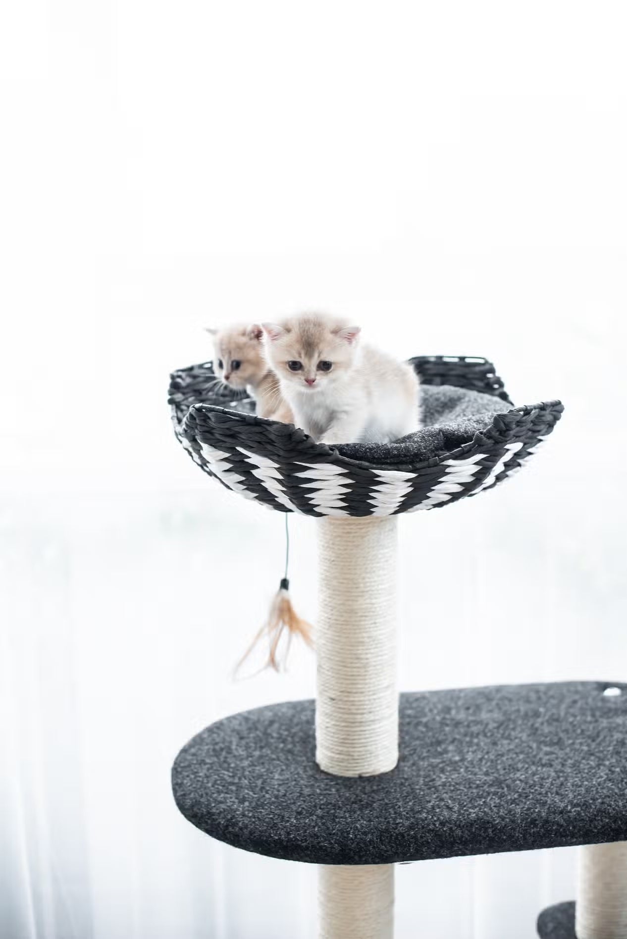 PetPals Ace - Natural, Sustainable Handwoven Cat Tree