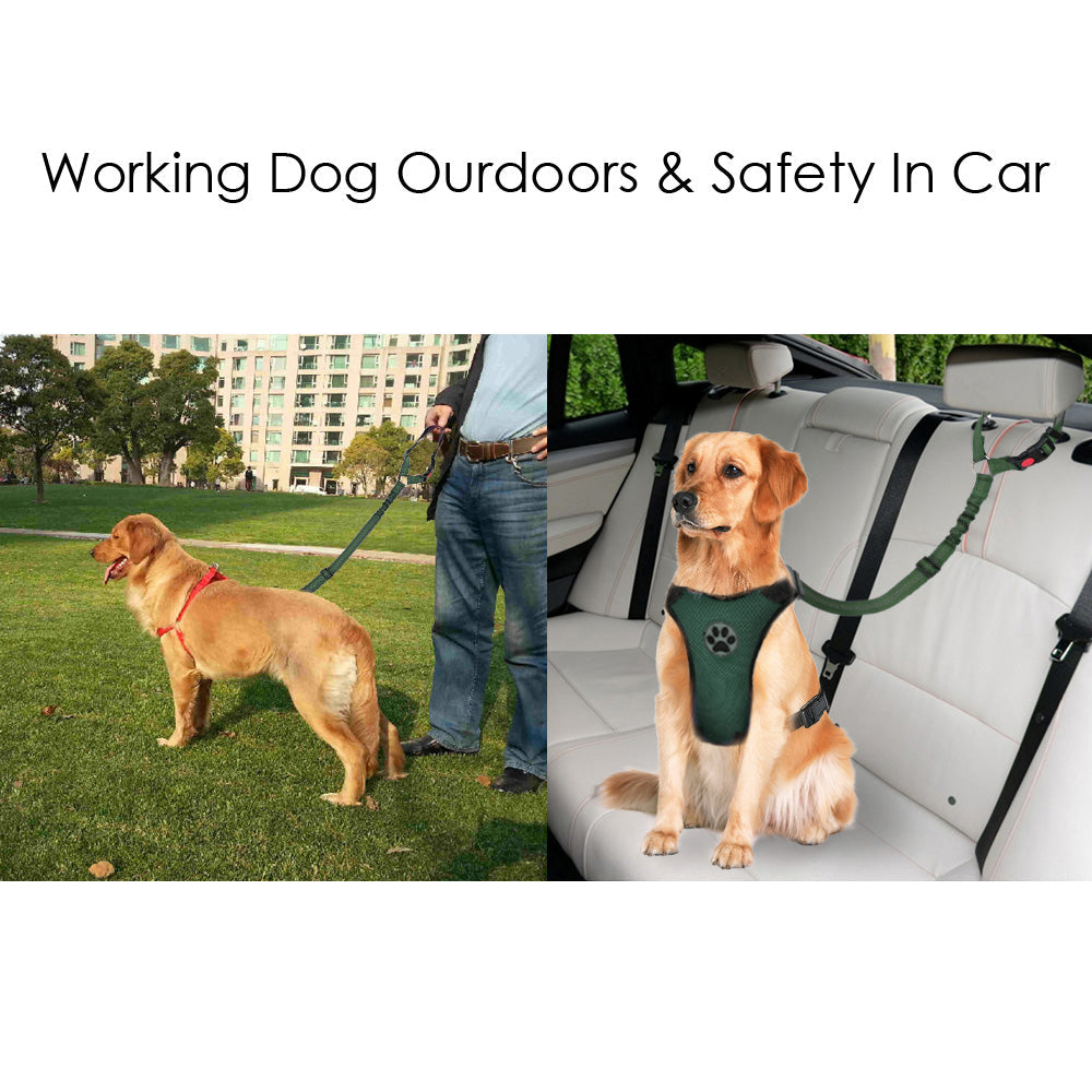 2 Pack Dog Headrest Restraint Seat Belt - Green