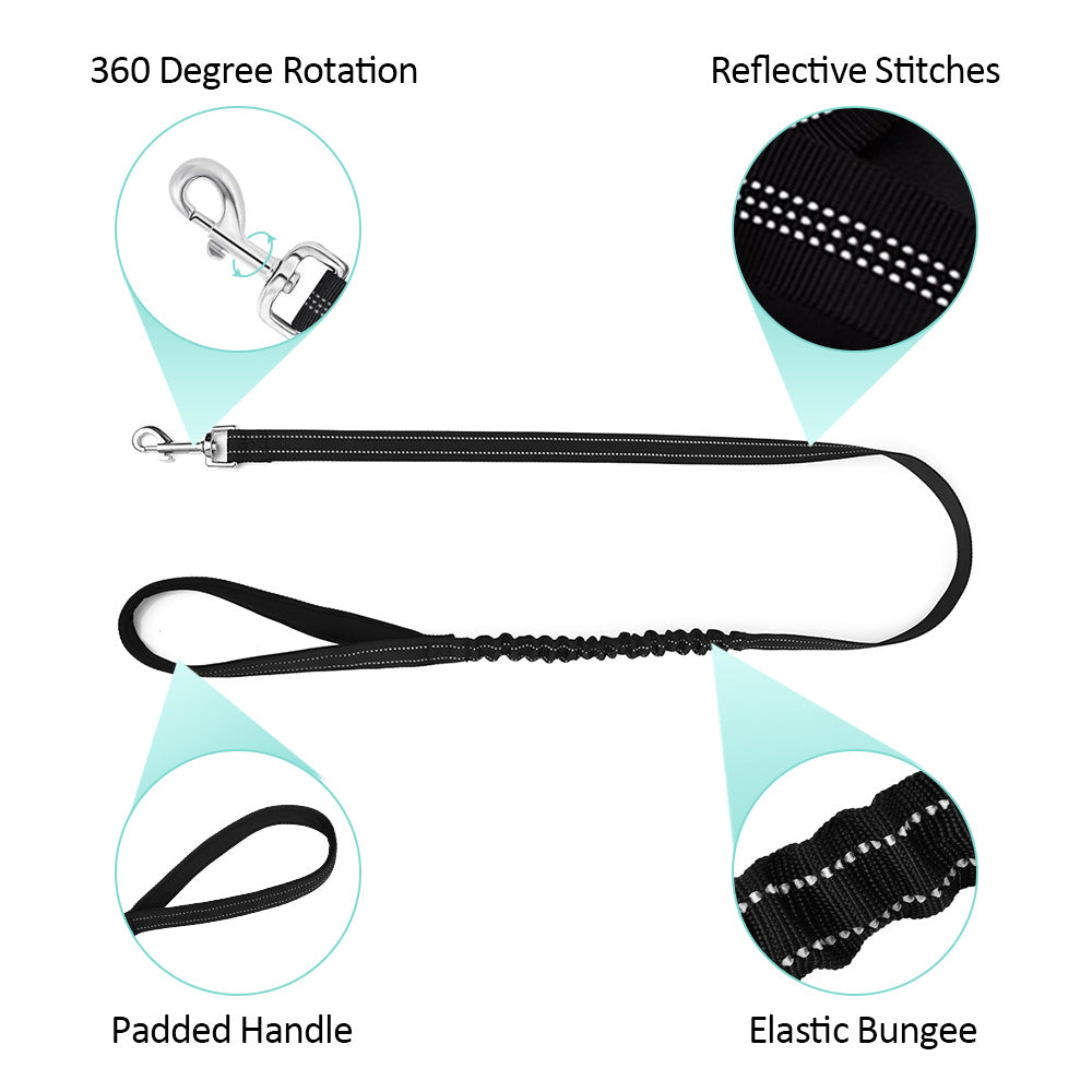 Small Dog Harness and Leash - Black