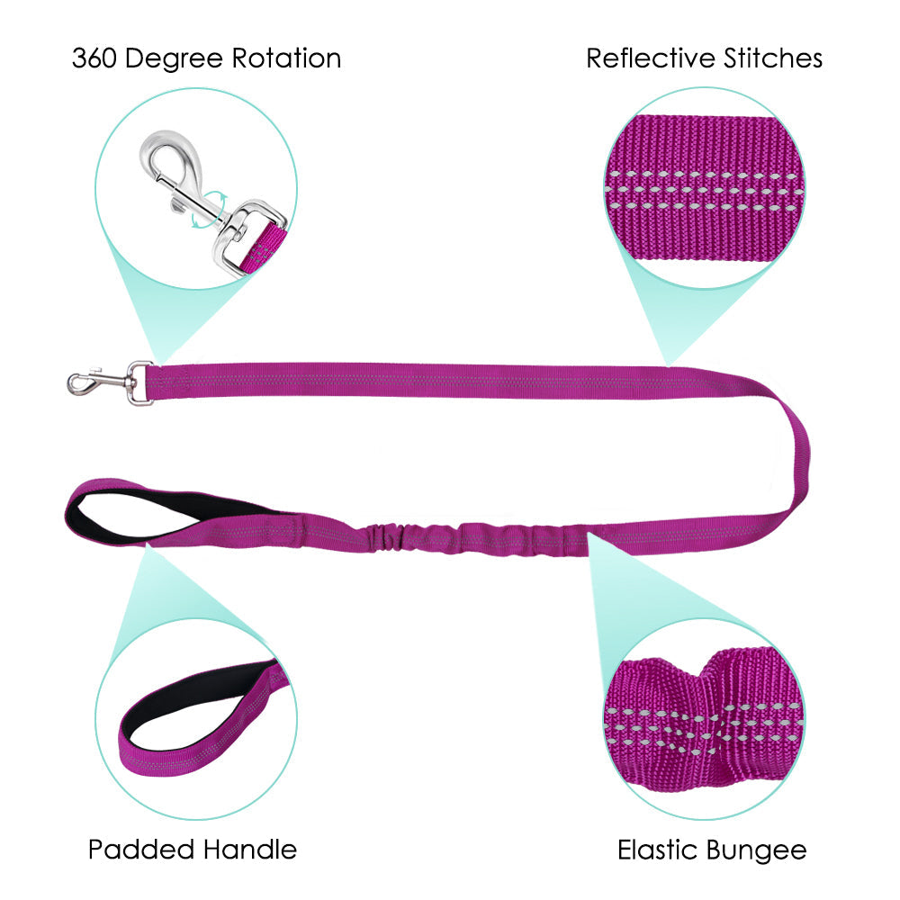 Small Dog Harness and Leash - Fuchsia