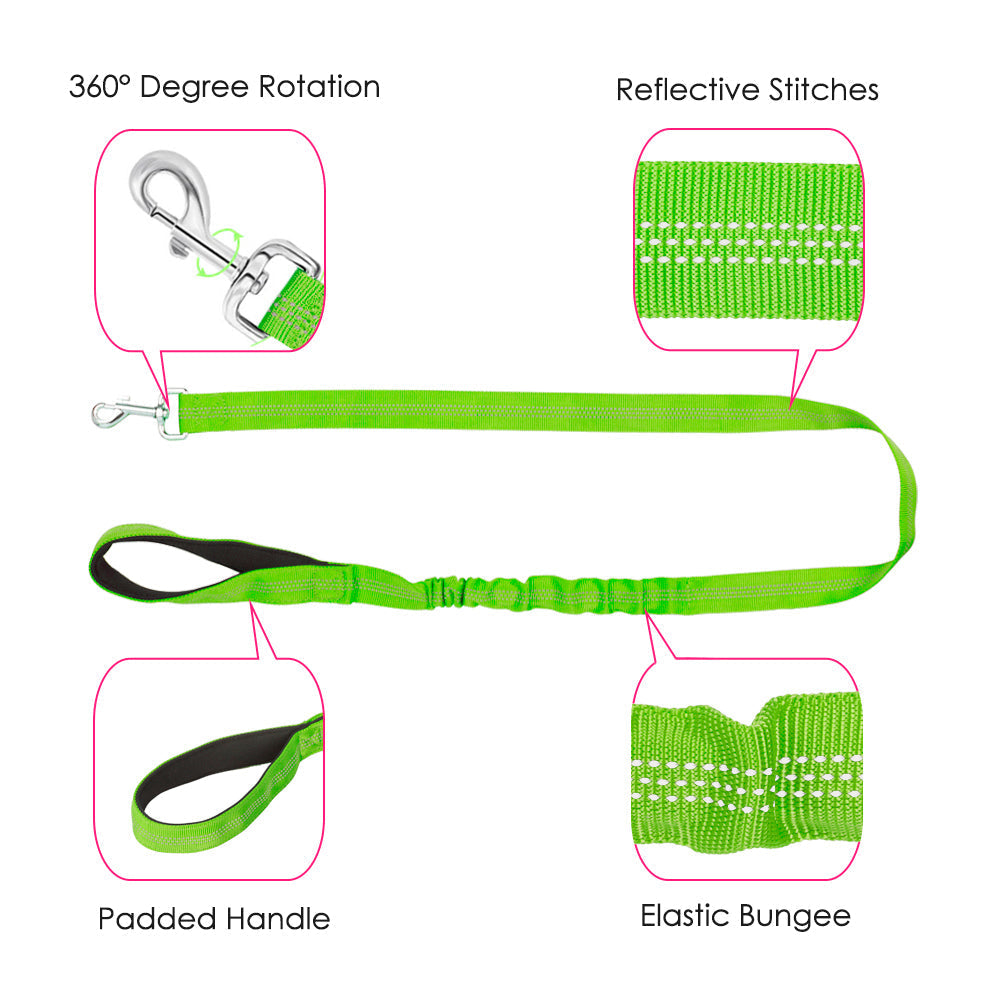 Small Dog Harness and Leash - Green