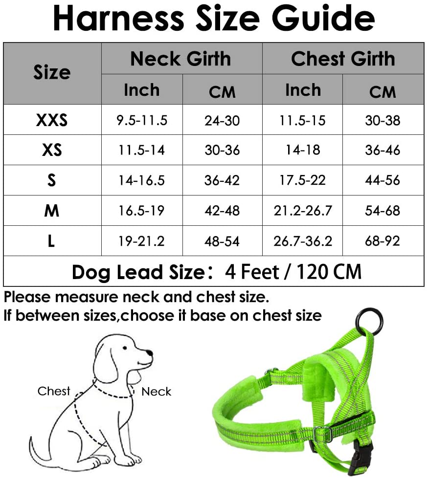 Small Dog Harness and Leash - Green