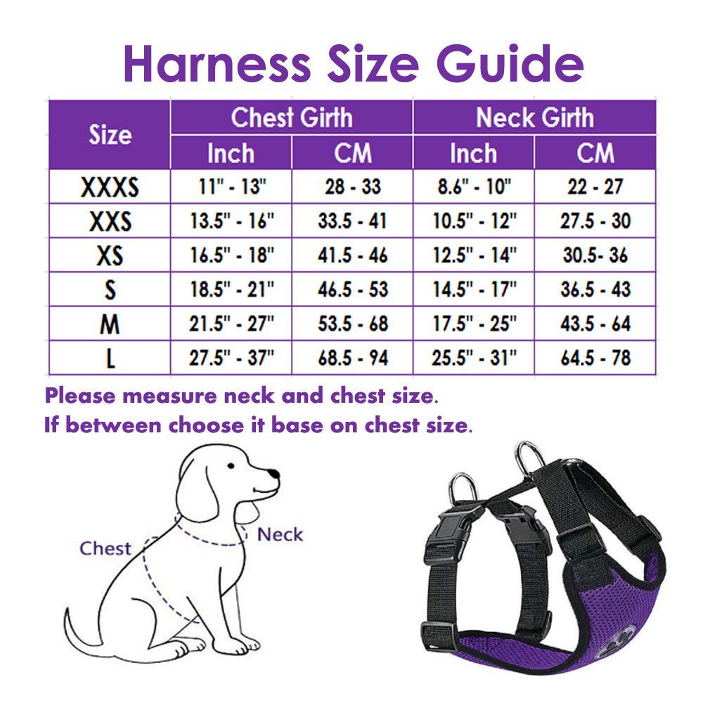 Dog Car Harness & Seat Belt - Purple