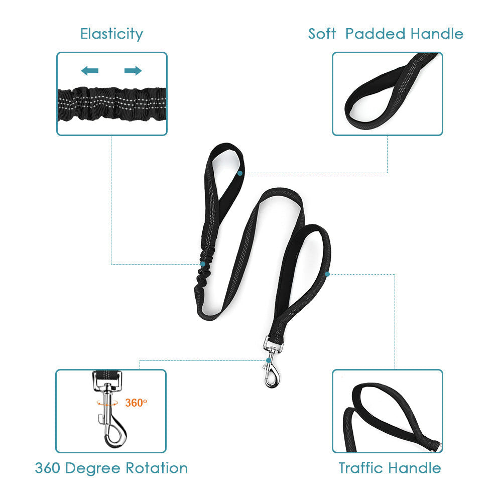 2 in 1 Double Dog Leash + Car Seat Belt - Black