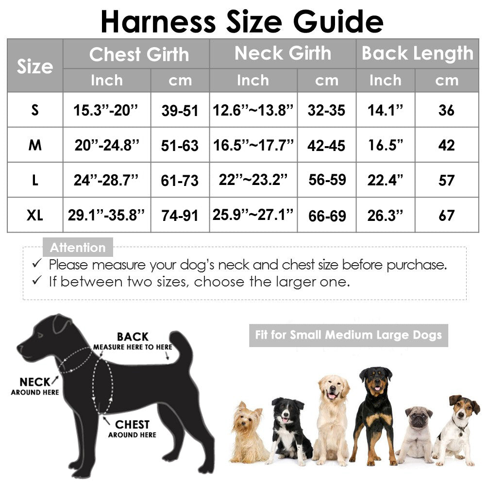 Winter Dog Jacket - Blue