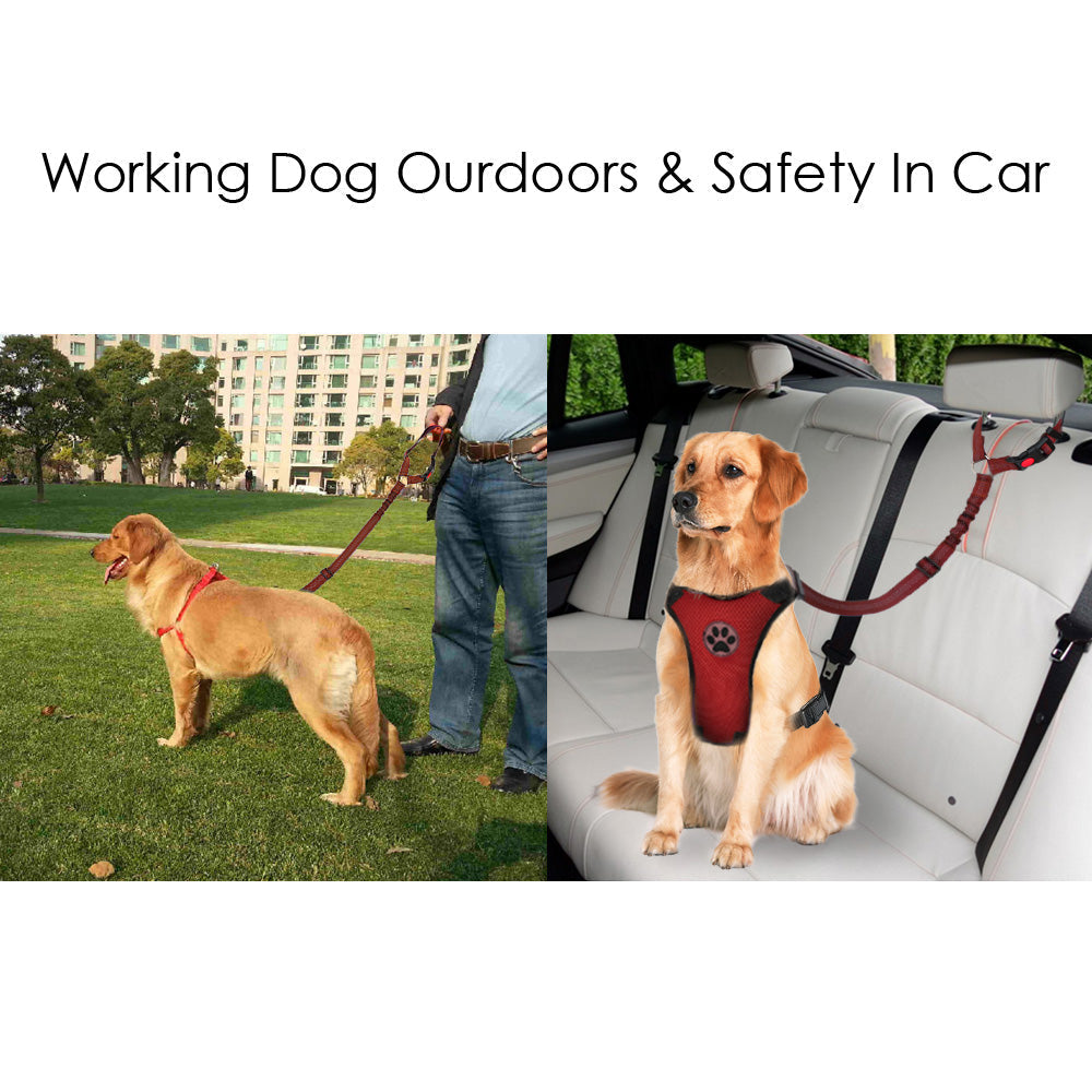2 Pack Dog Headrest Restraint Seat Belt - Red