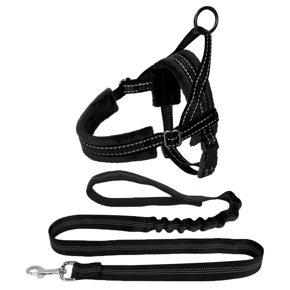 Small Dog Harness and Leash - Black