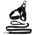 Small Dog Harness and Leash - Black