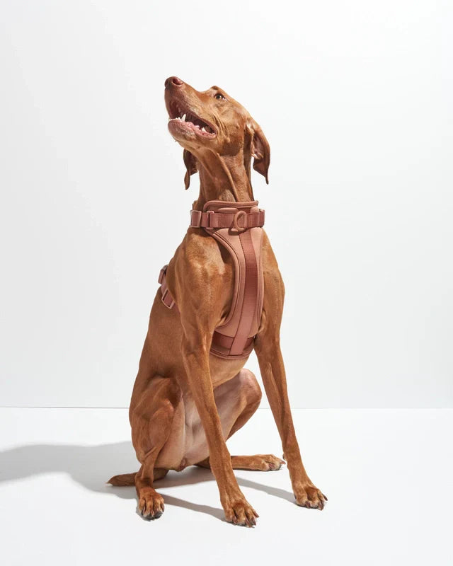 Wild One Adjustable Comfort Dog Harness