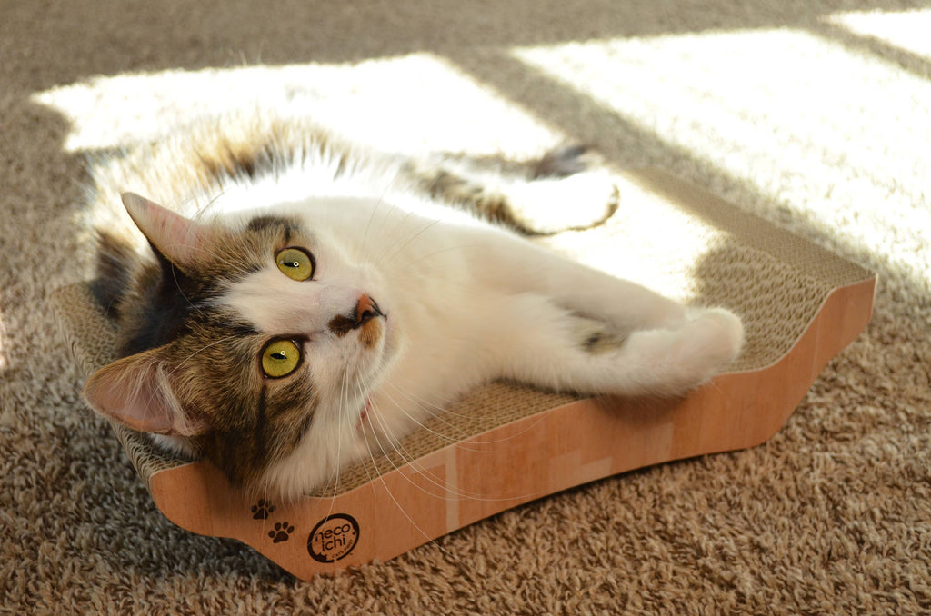 Necoichi Premium Comfort Reversible Cat Bed (Oak)
