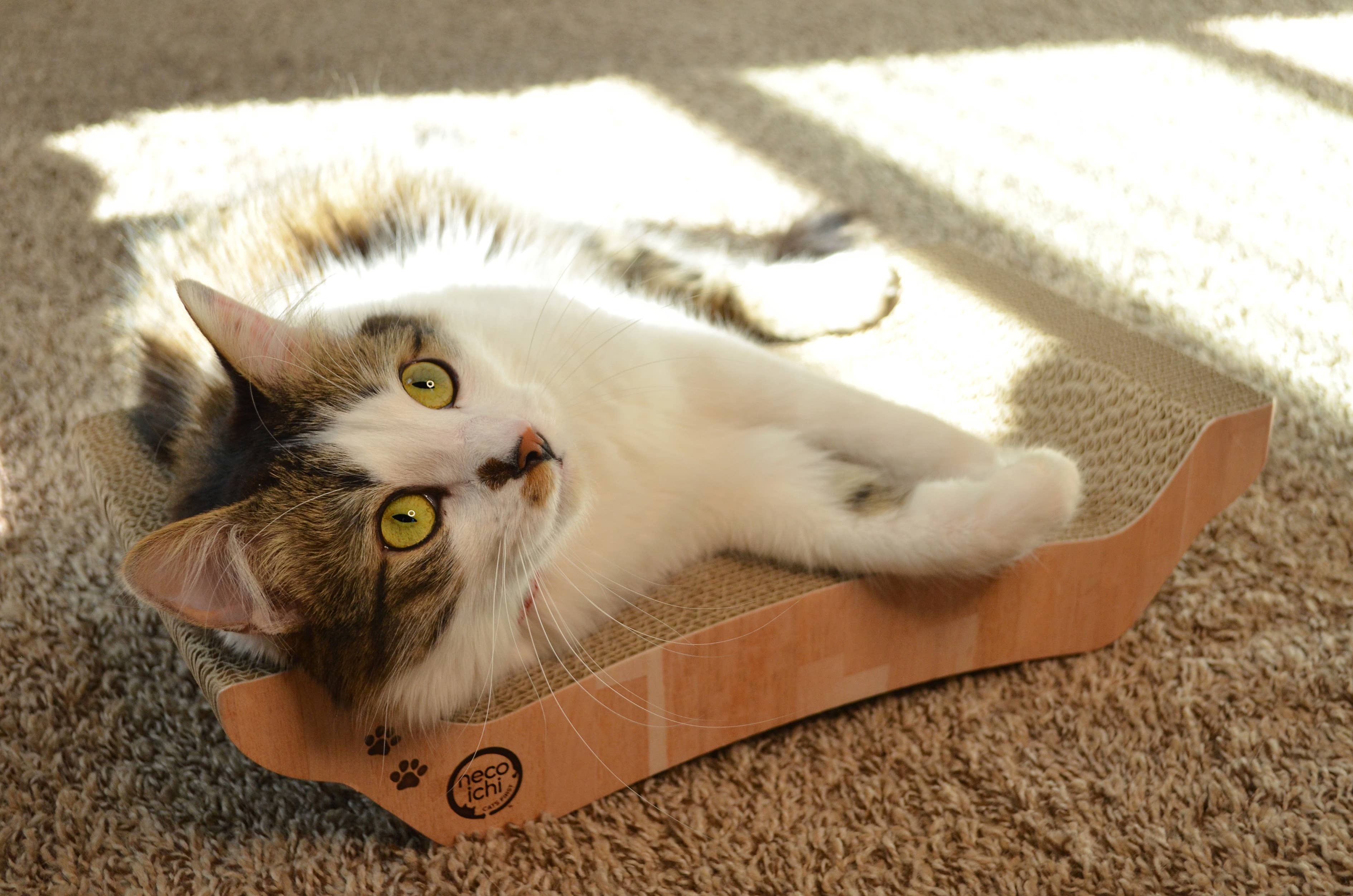Necoichi Premium Comfort Reversible Cat Bed (Oak)
