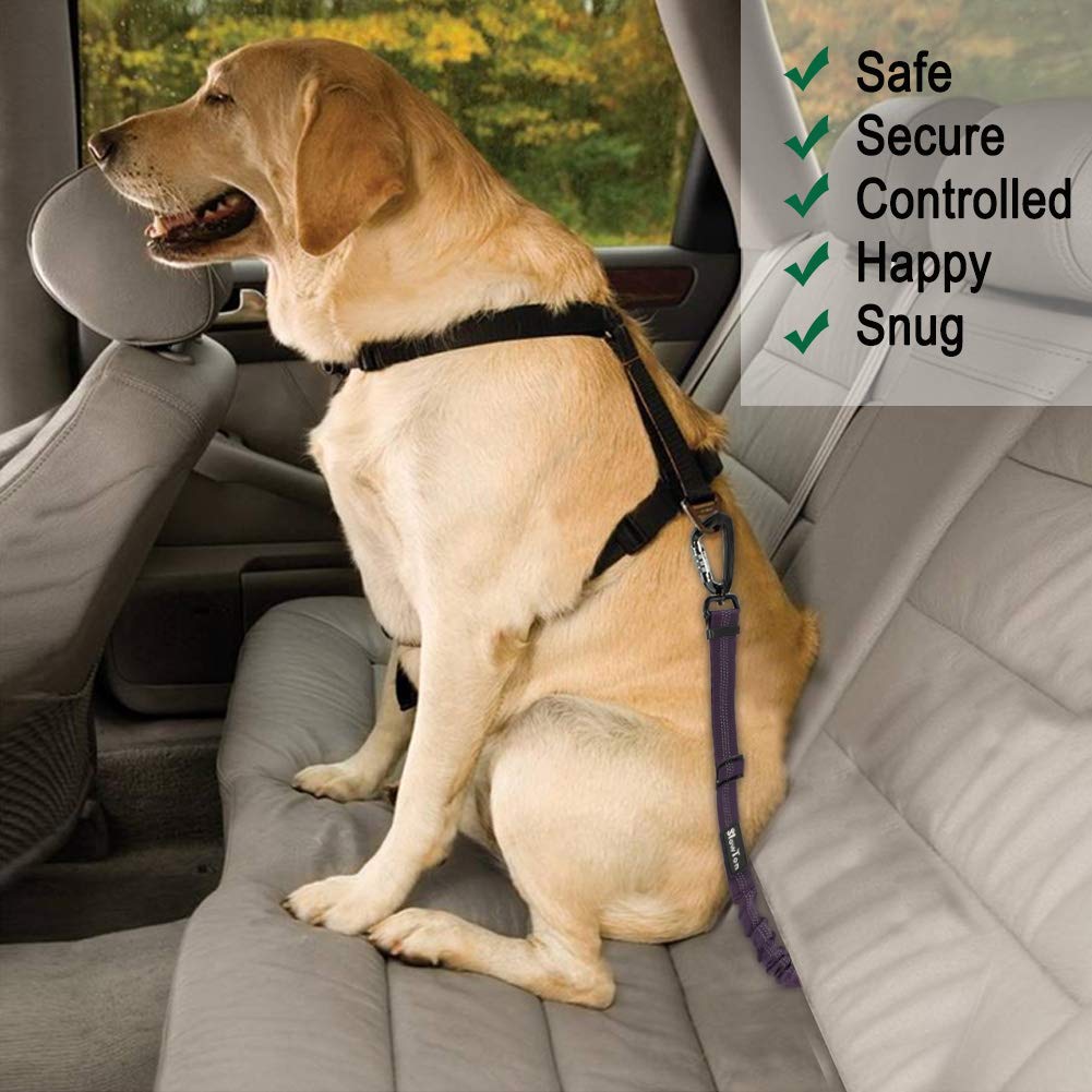 Dog Car Safety Latch Bar Seat Belt - Purple