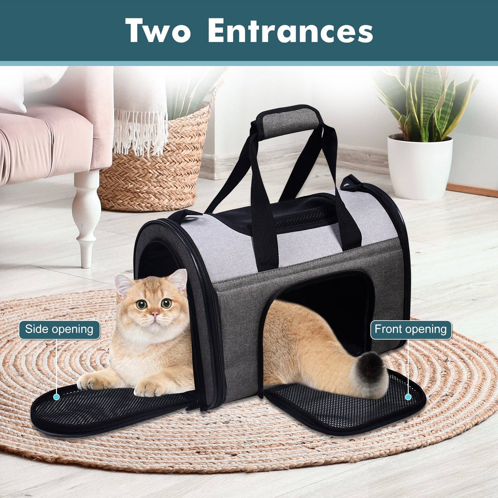 Jespet Sport Airline Travel Pet Carrier Bag