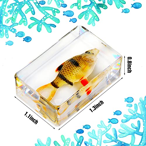 12 Pcs Insect in Resin Specimen Bugs Collection Arachnid Resin Paperweights Different Insect Specimen Bug for Kids Scientific Educational Toy, 12 Styles(Ocean Theme)