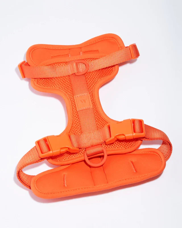 Wild One Adjustable Comfort Dog Harness