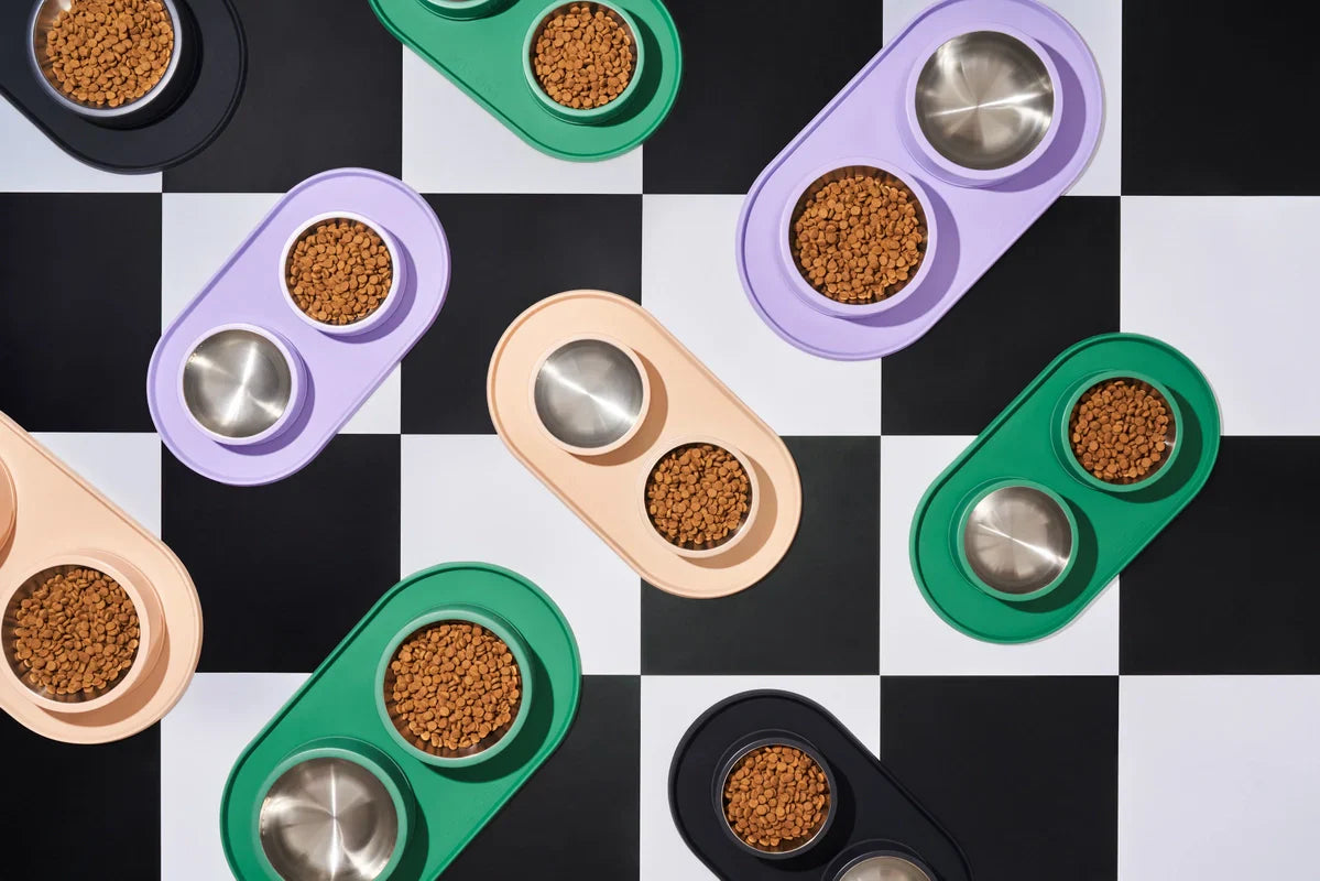 Wild One Silicon Dog Placemat (Bowls Not Included)