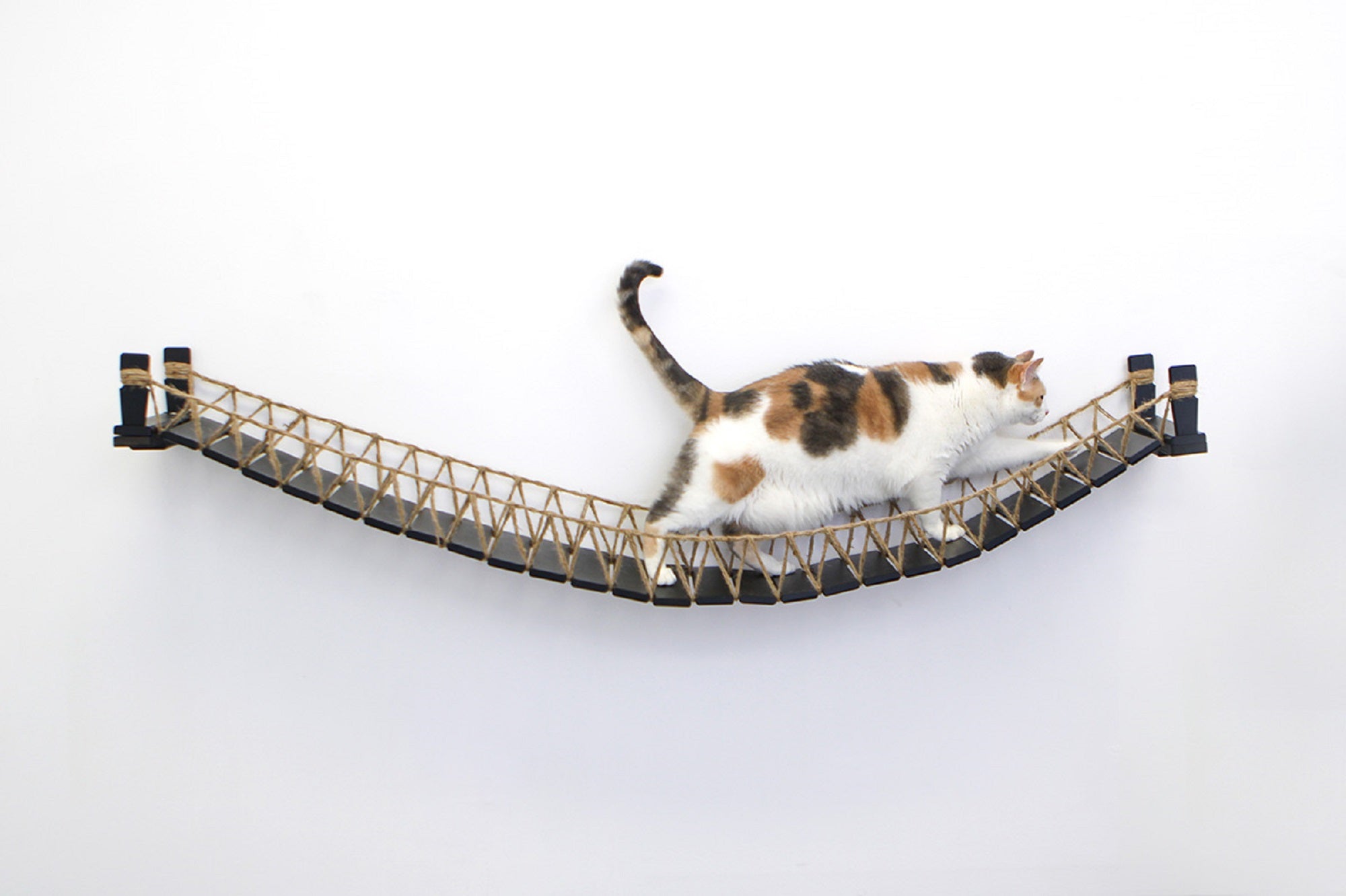 Catastrophic Creations Cat Bridge for Wall