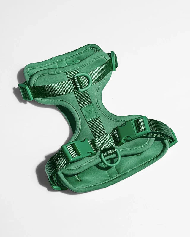 Wild One Adjustable Comfort Dog Harness