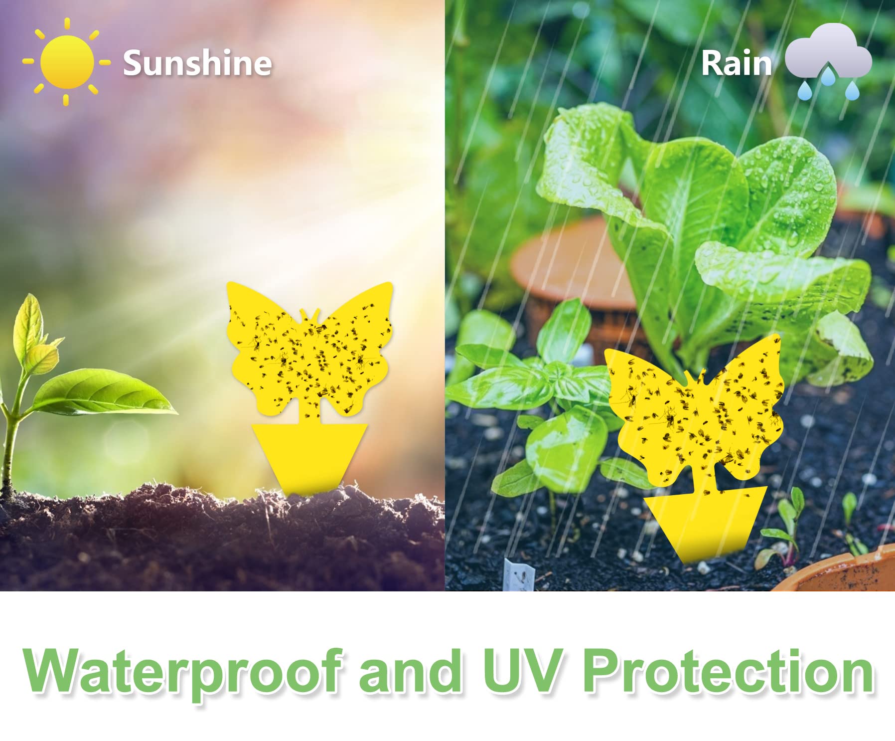 120 Pack Yellow Sticky Traps for Gnats, Fungus Gnat Sticky Trap Fruit Fly Traps Plant Flies Killer, House Plant Fungus Gnat Killer Outdoor Bug Gnat Sticky Traps Indoor