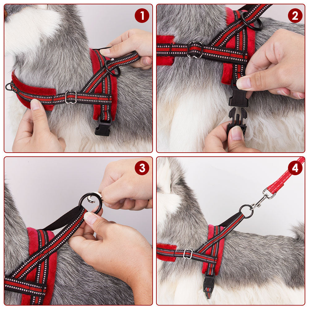 No Pull Small Dog Harness and Leash - Red
