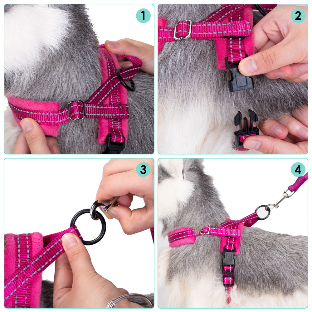 Small Dog Harness and Leash - Fuchsia