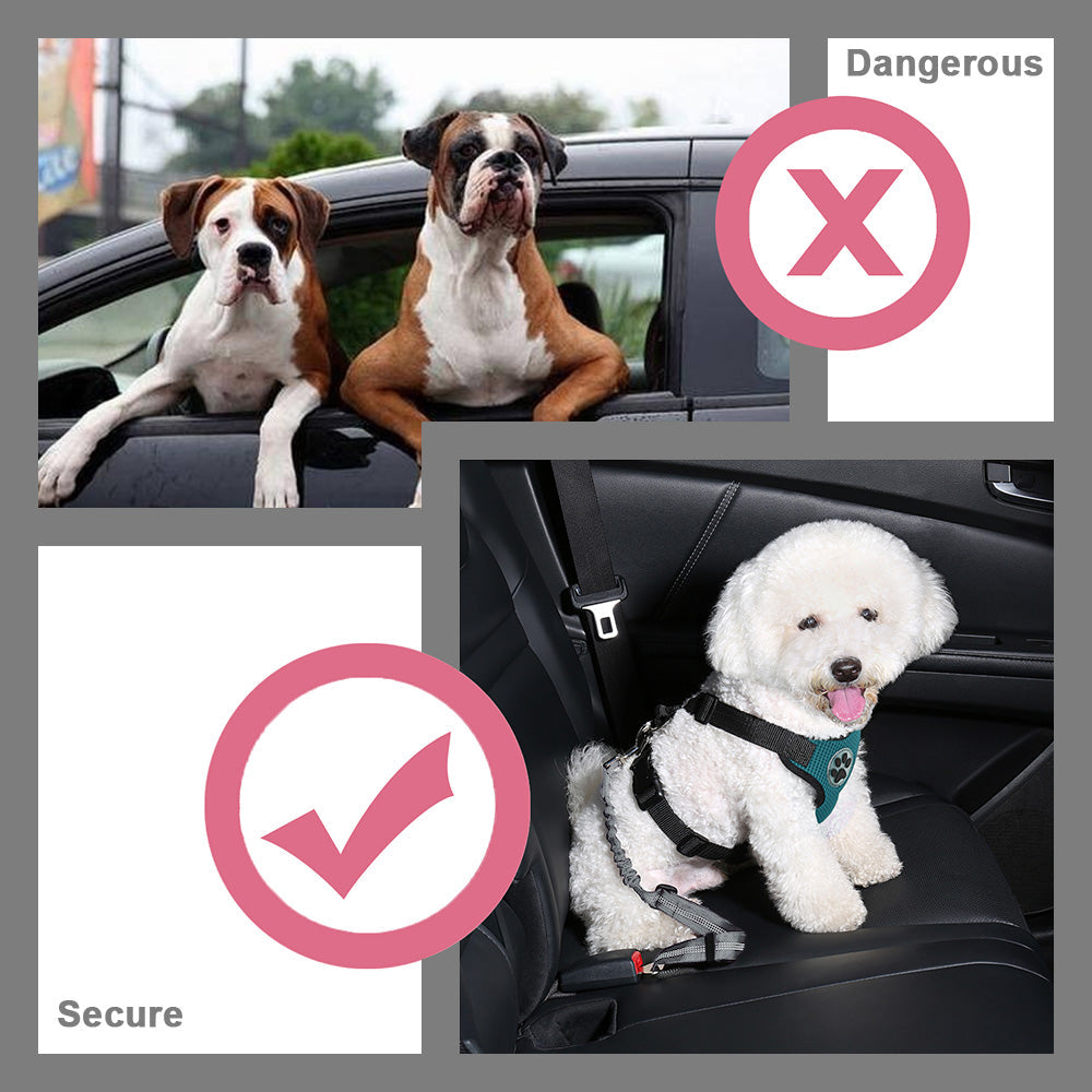 Double Dog Car Seatbelt - Grey