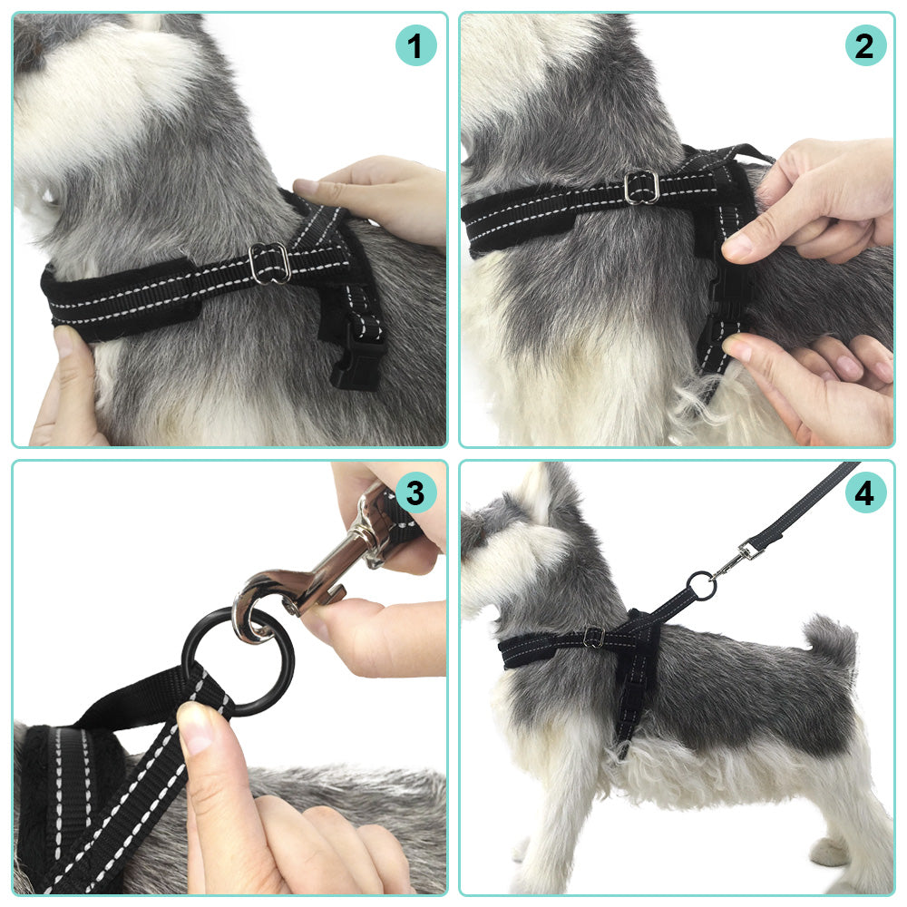 Small Dog Harness and Leash - Black