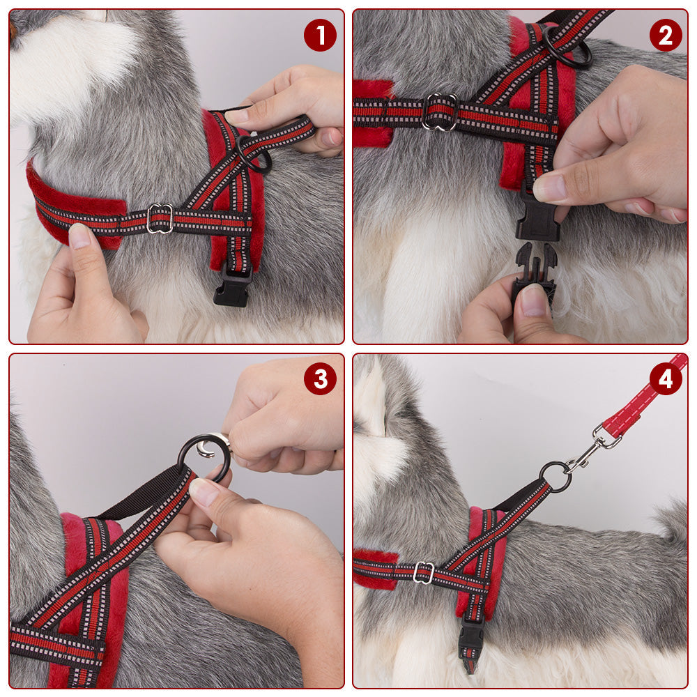 Small Dog Harness and Leash - Red