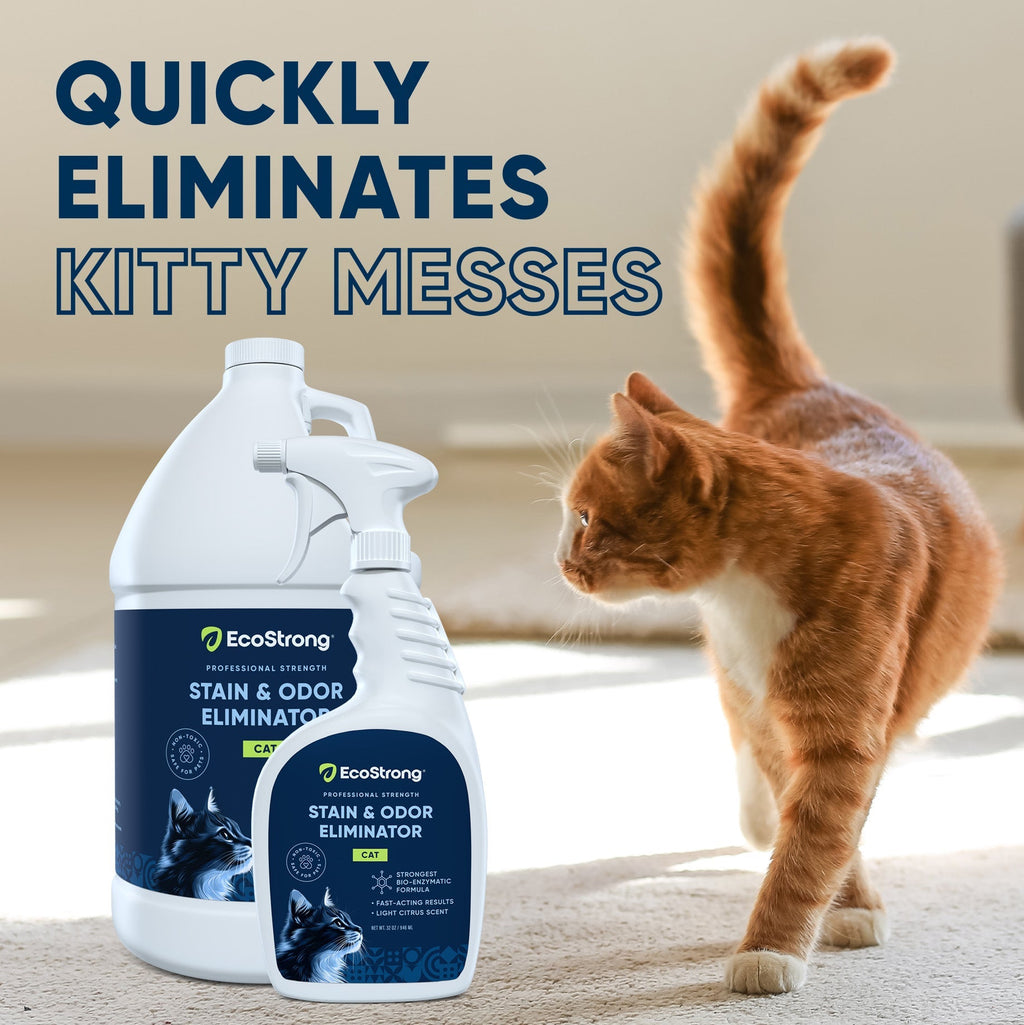 Cat Stain and Odor Eliminator