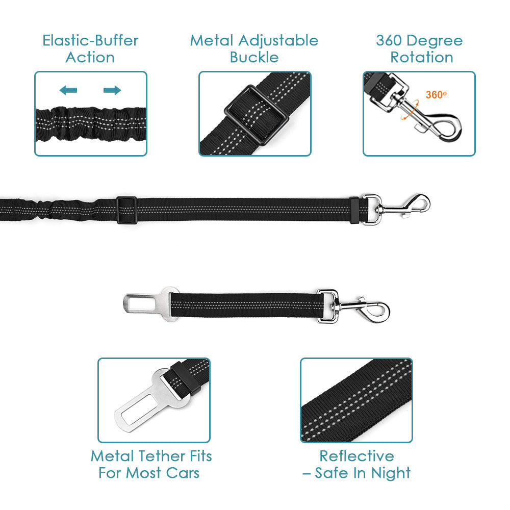 2 in 1 Double Dog Leash + Car Seat Belt - Black