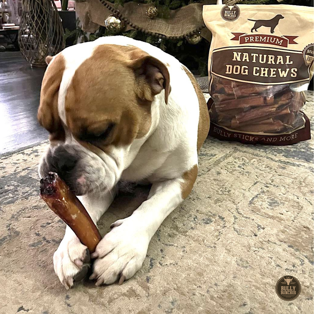 Bully Bunches 6 Inch Monster Bully Stick