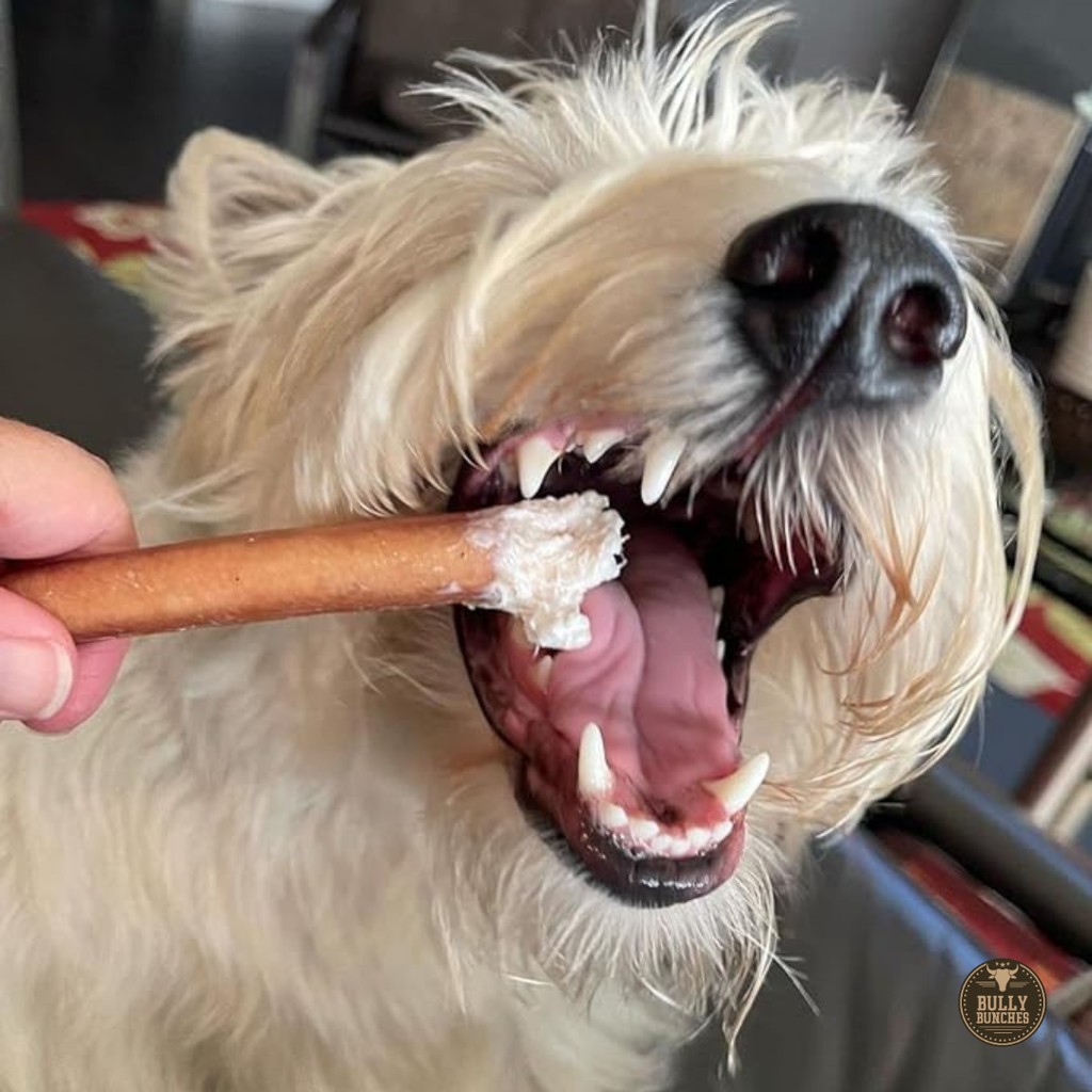 Bully Bunches 6 Inch Standard Bully Stick