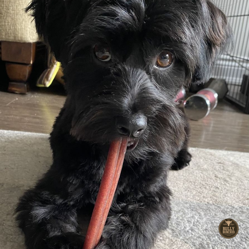 Bully Bunches 6 Inch Standard Bully Stick