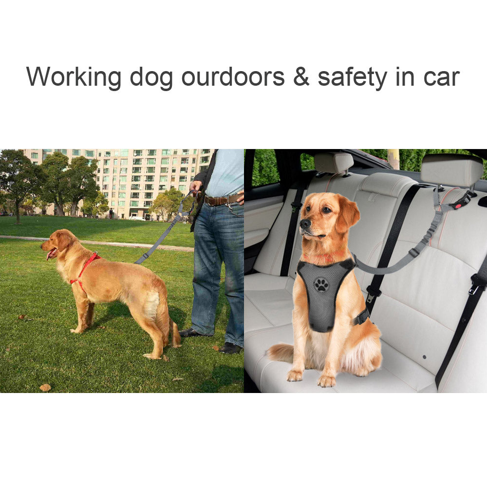 2 Pack Dog Headrest Restraint Seat Belt - Grey