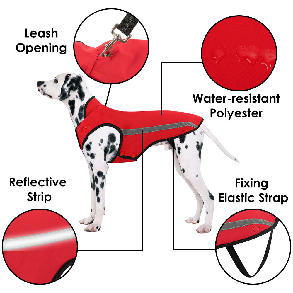 Winter Dog Jacket - Red