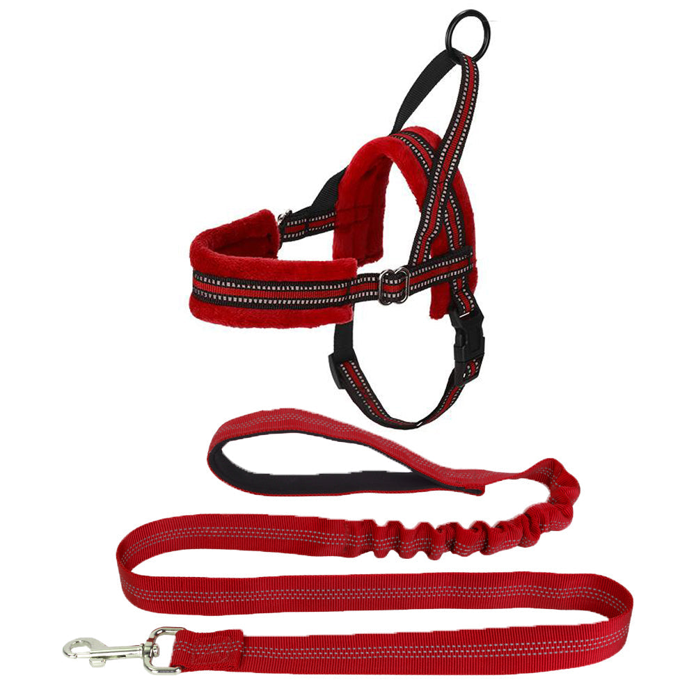 Small Dog Harness and Leash - Red