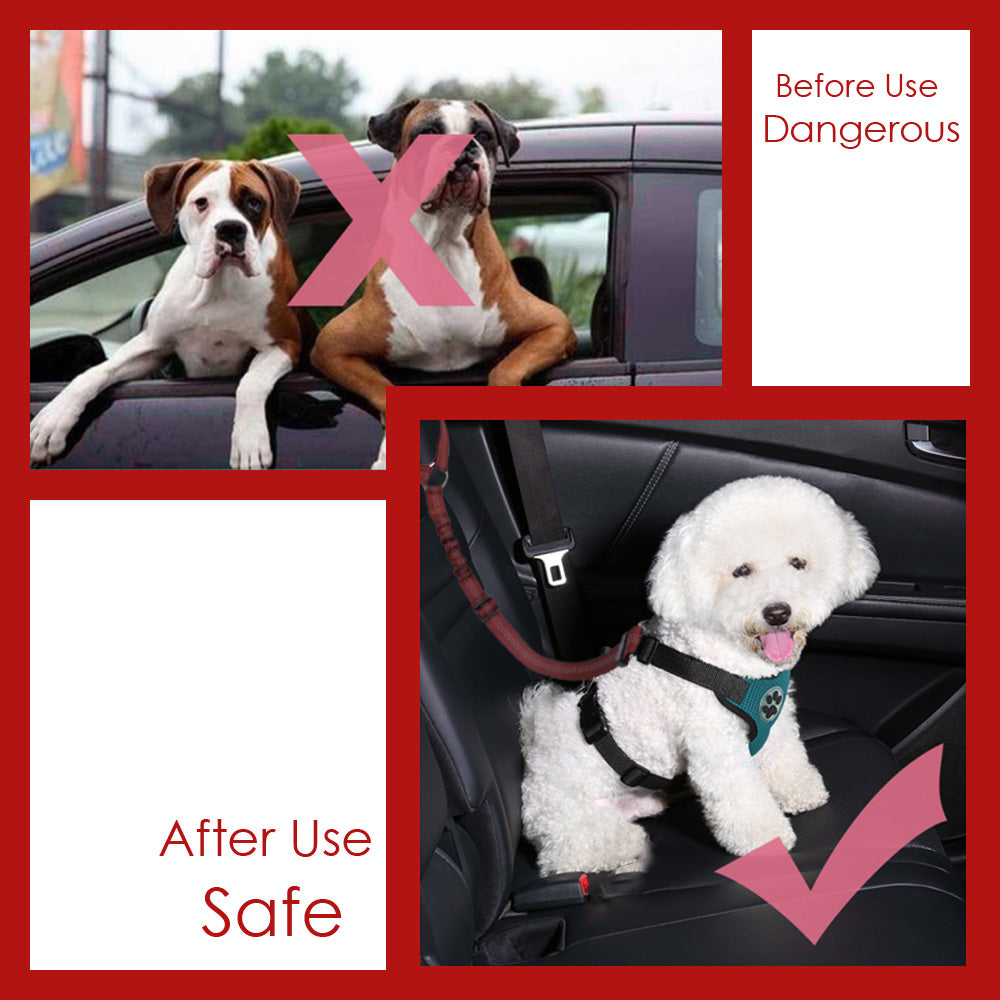 2 Pack Dog Headrest Restraint Seat Belt - Red