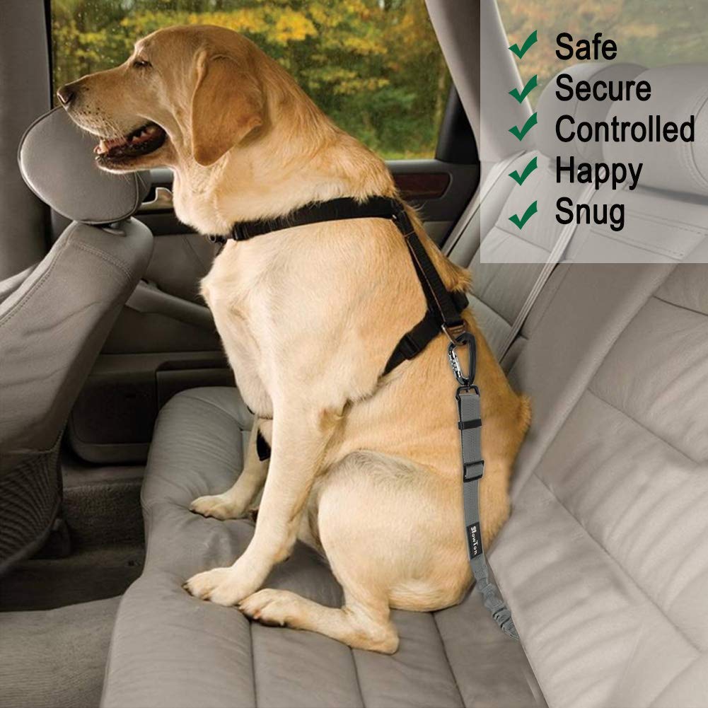 Dog Car Safety Latch Bar Seat Belt - Grey